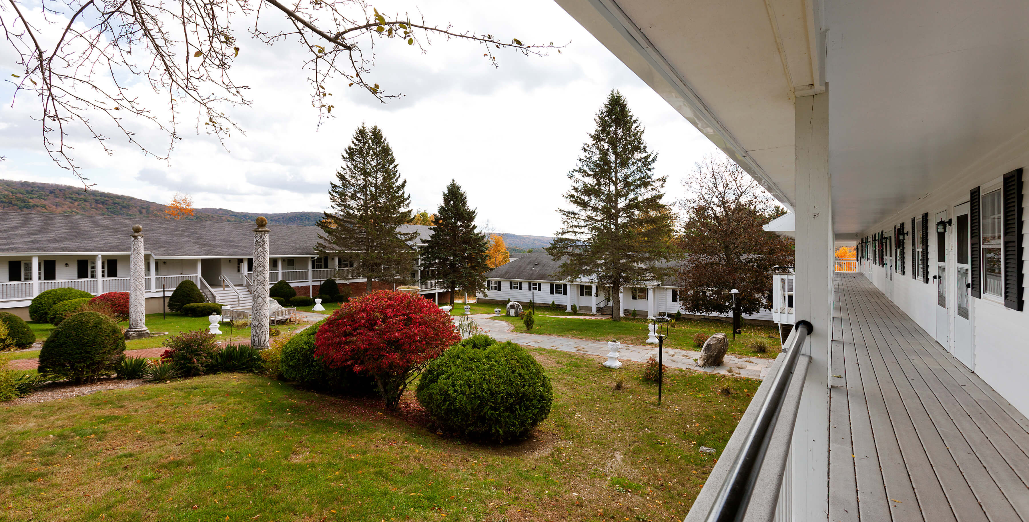 Zheng Yan Zhuang and Chinese TCM AccuChannel Hypnosis Certificate